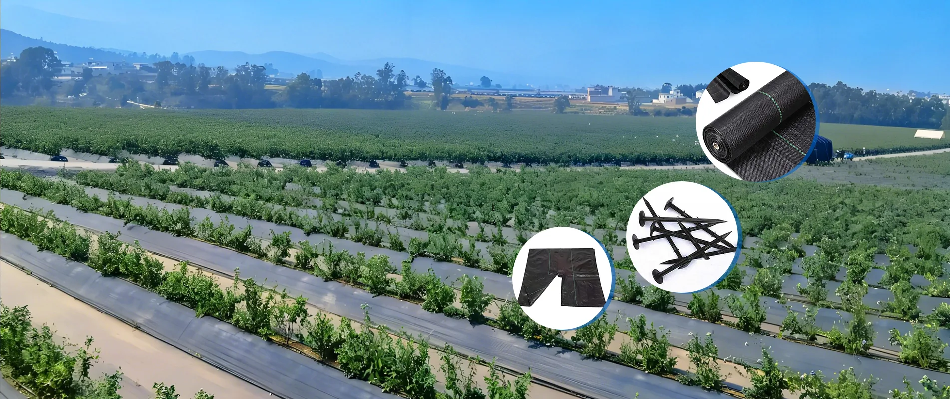 Chiny Producent tkanin barierowych dla chwastów