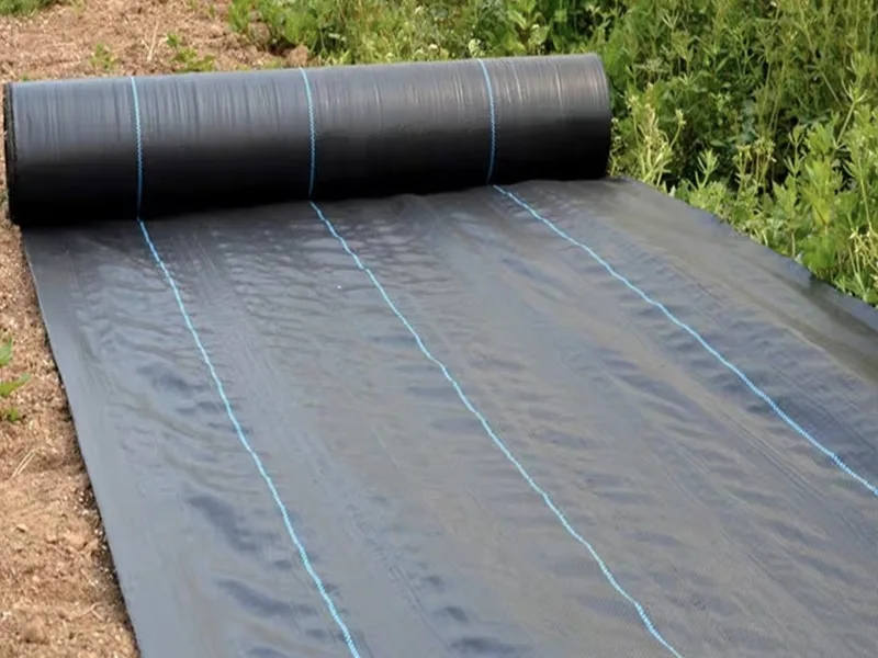 Tongfu Eco-Materials wprowadza na rynek wysokowydajną biodegradowalną tkaninę barierową dla chwastów