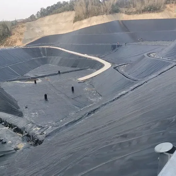 Wyściółka z geomembrany