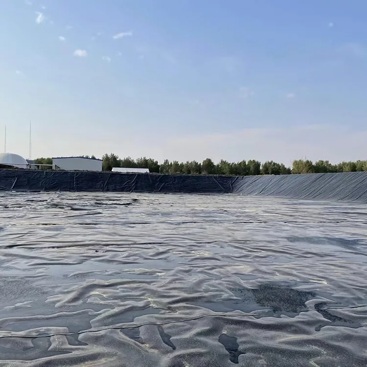 Bardziej rygorystyczne przepisy dotyczące ochrony środowiska wymuszają stosowanie standardowych rozwiązań w zakresie nieprzepuszczalnych wykładzin dla infrastruktury globalnej