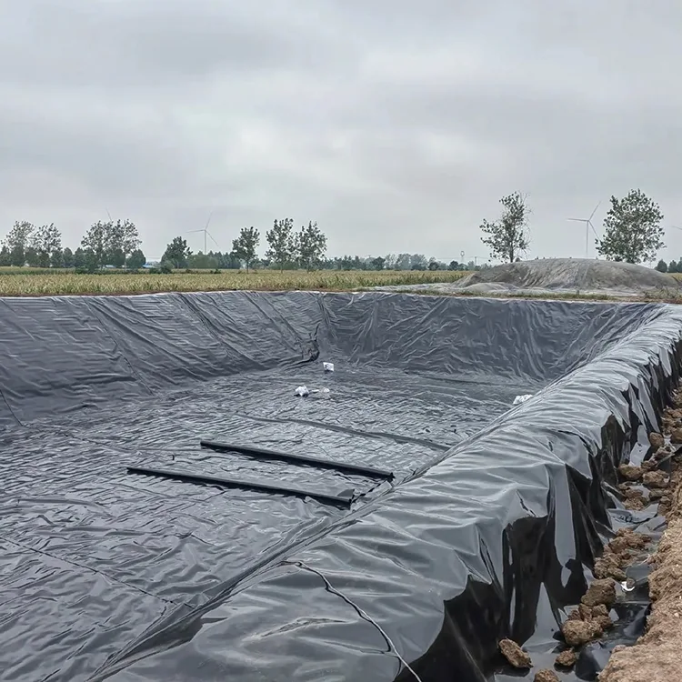 Wykładzina geomembranowa do stawów rybnych