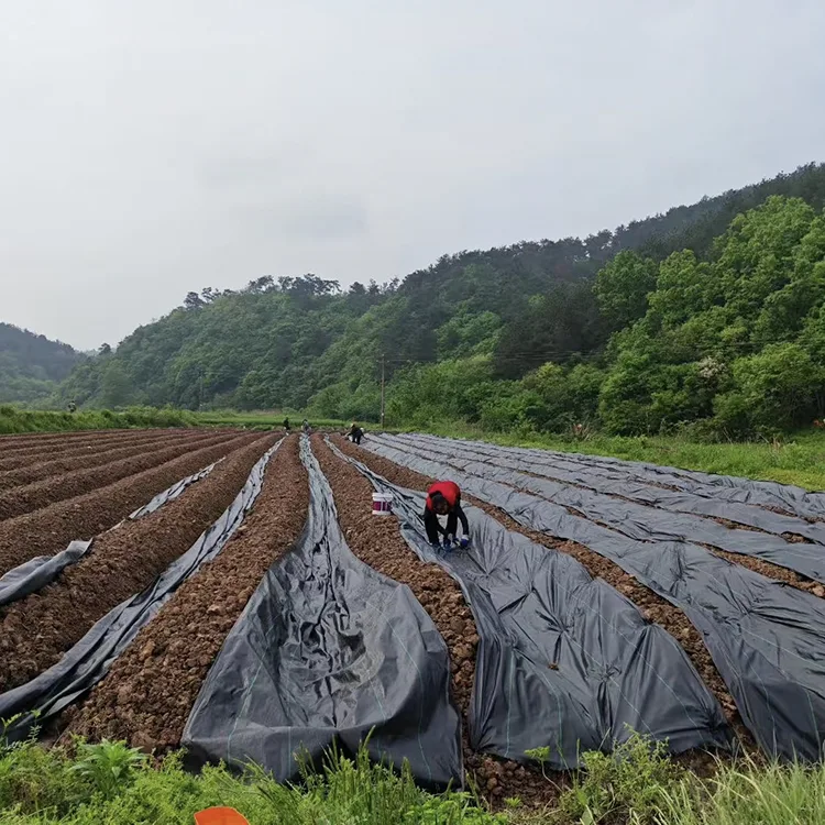 UV Stabilized Garden Weed Barrier Fabric