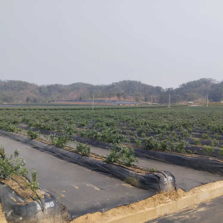 Biodegradable Agricultural Weed Barrier Fabric